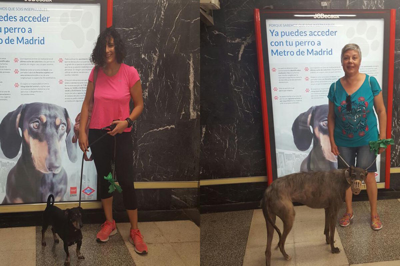 Masen y Figaro con sus adoptantes