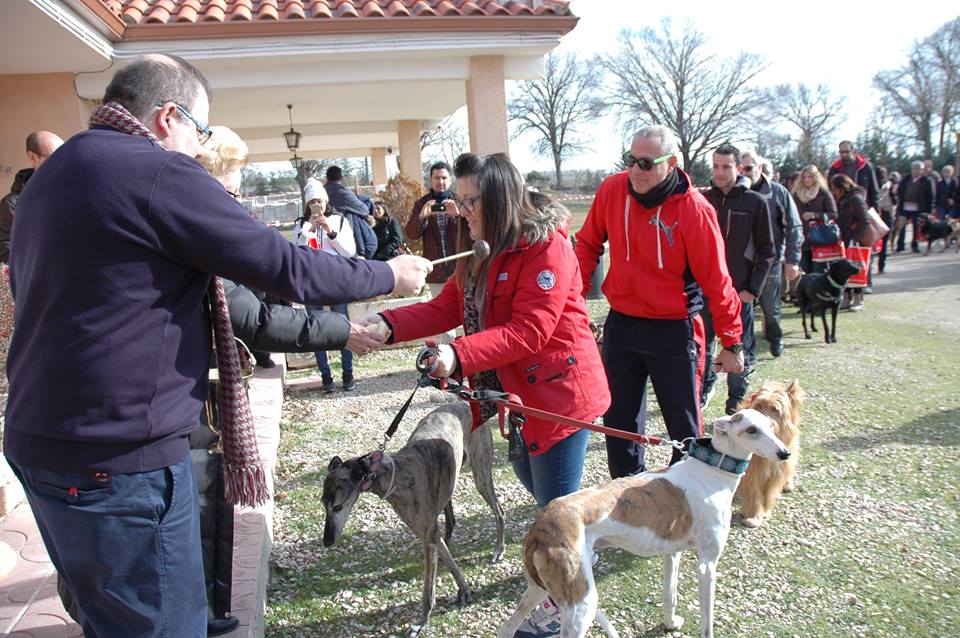 Más de 400 personas y más de 100 animalitos