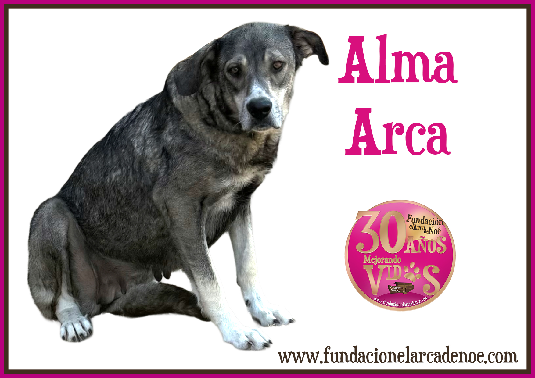Alma Arca
