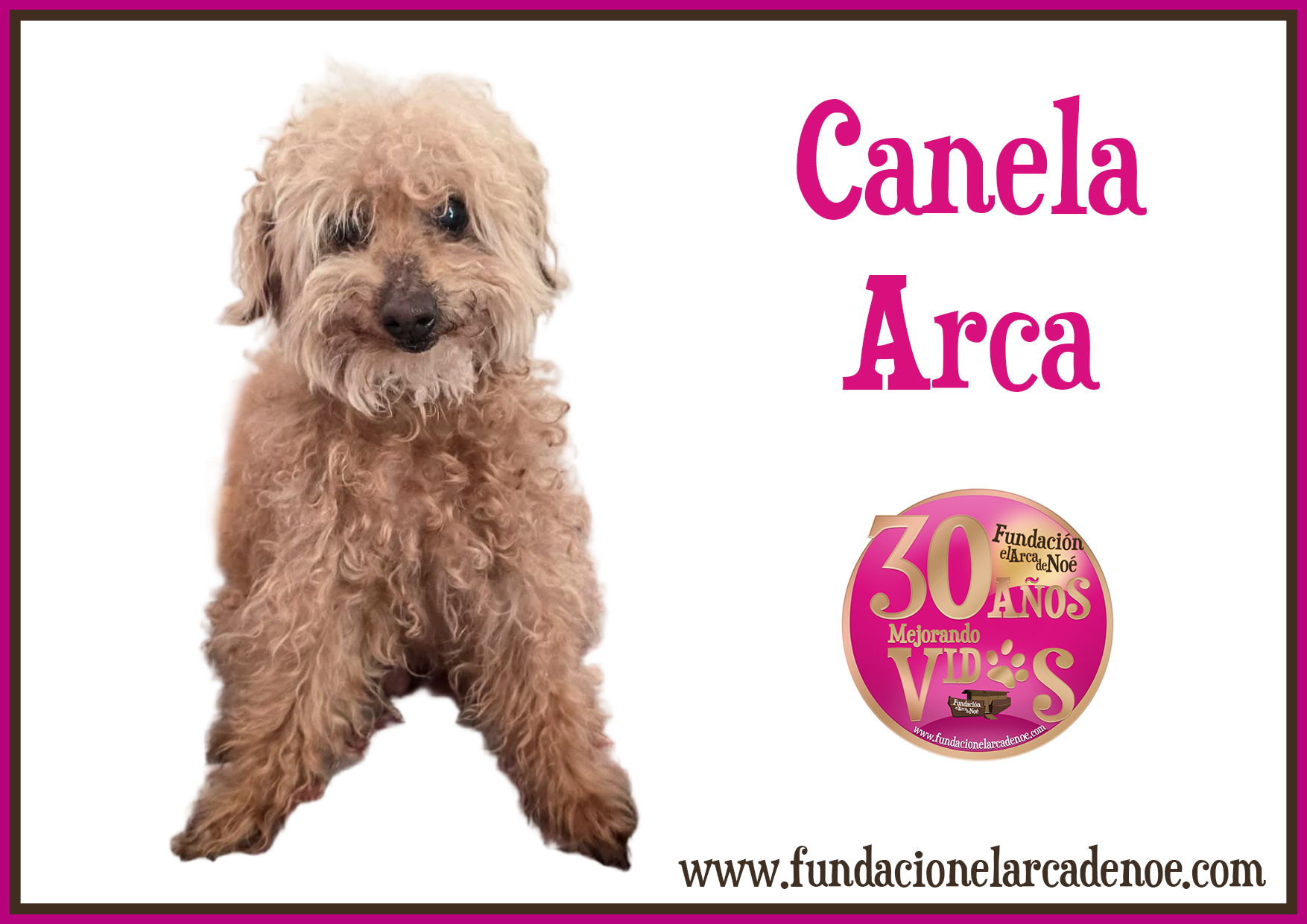 Canela Arca