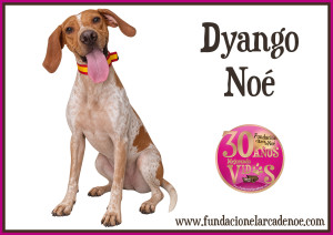 Dyango Noé