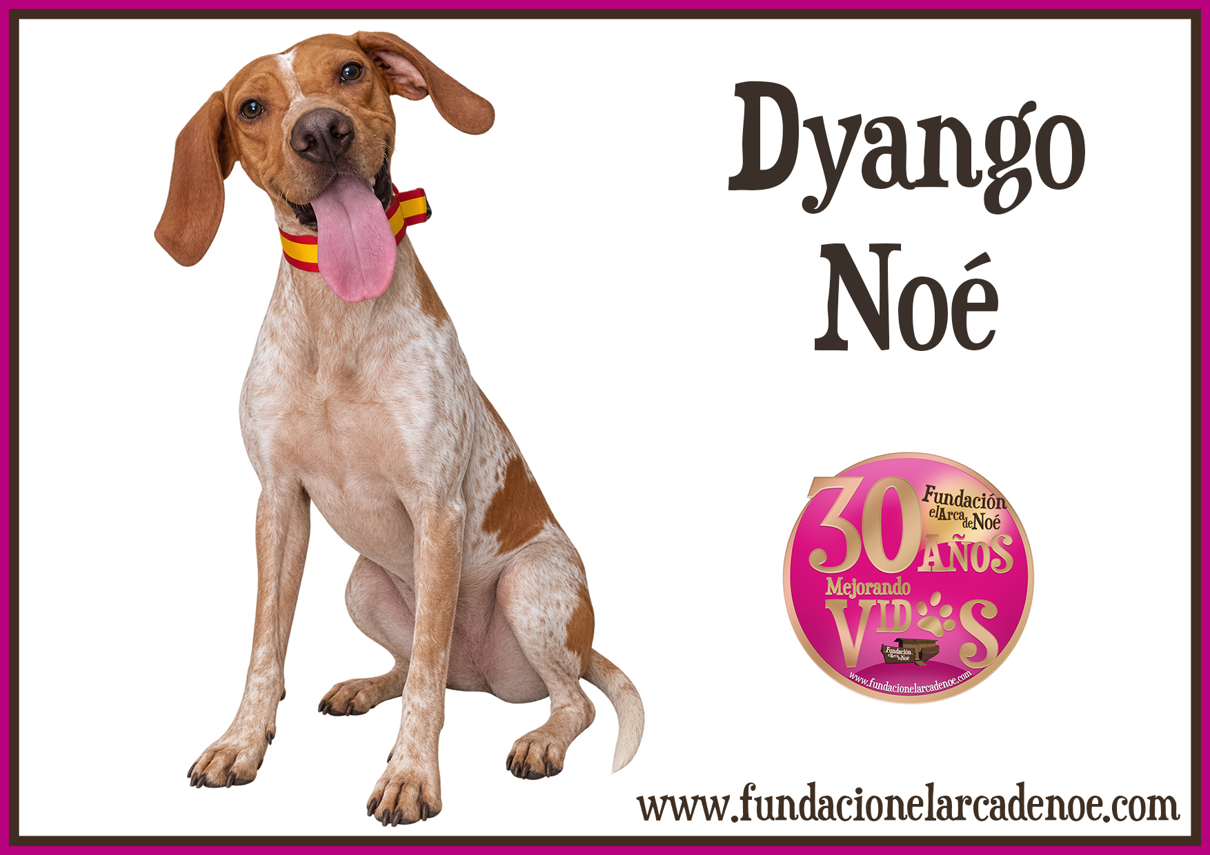 Dyango Noé