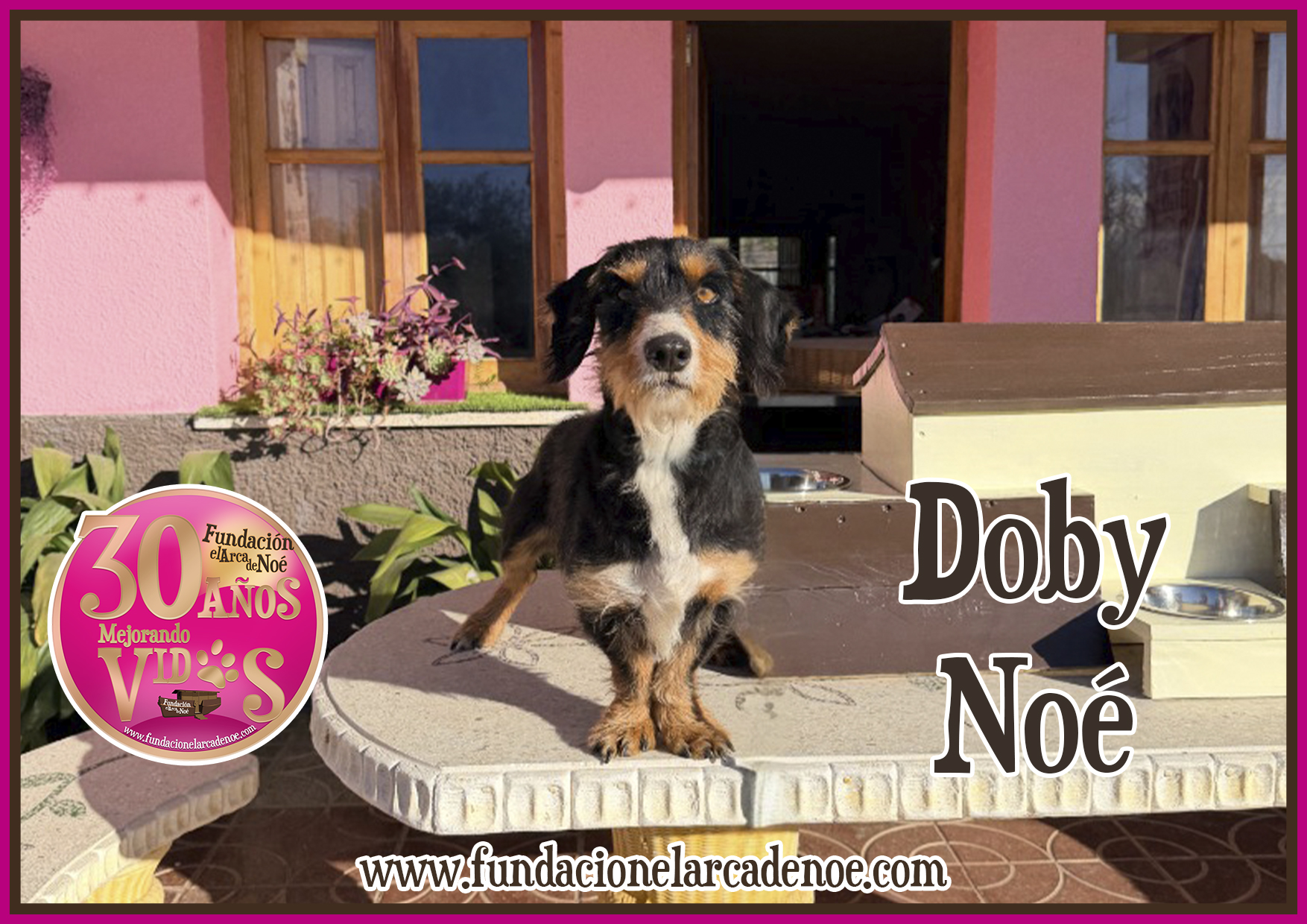 Doby Noé