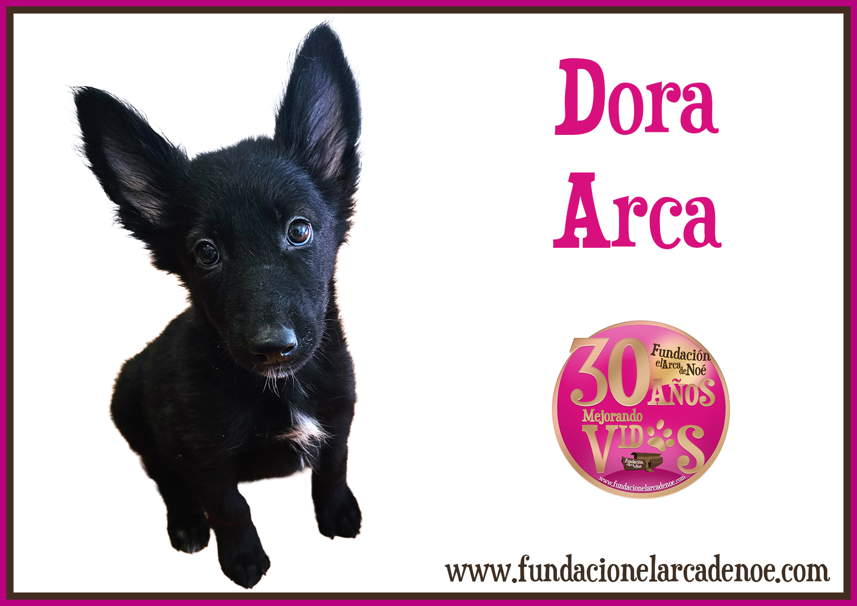 Dora Arca