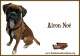Airon Noé