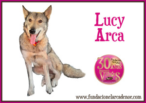 Lucy Arca