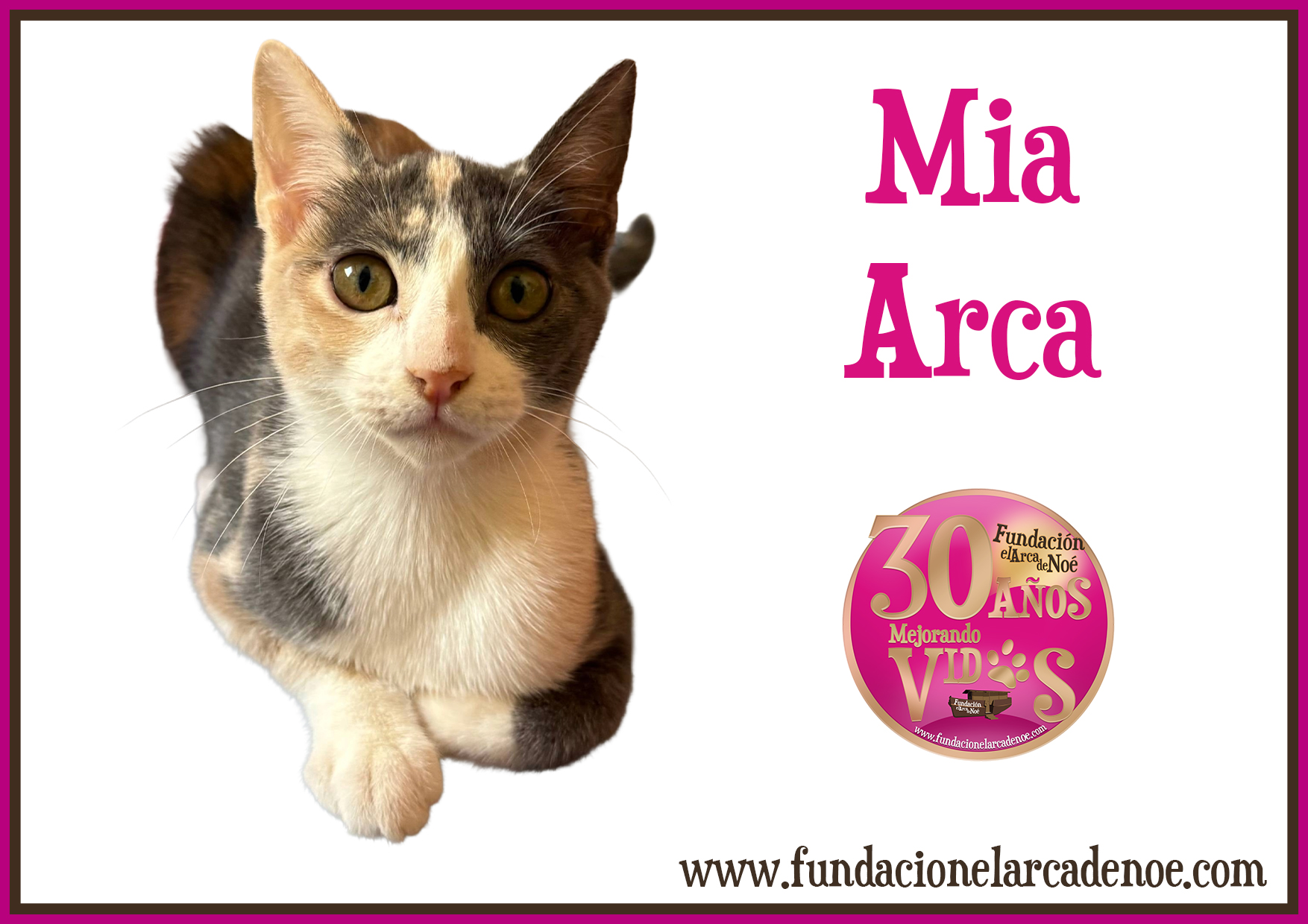 Mia Arca