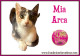 Mia Arca