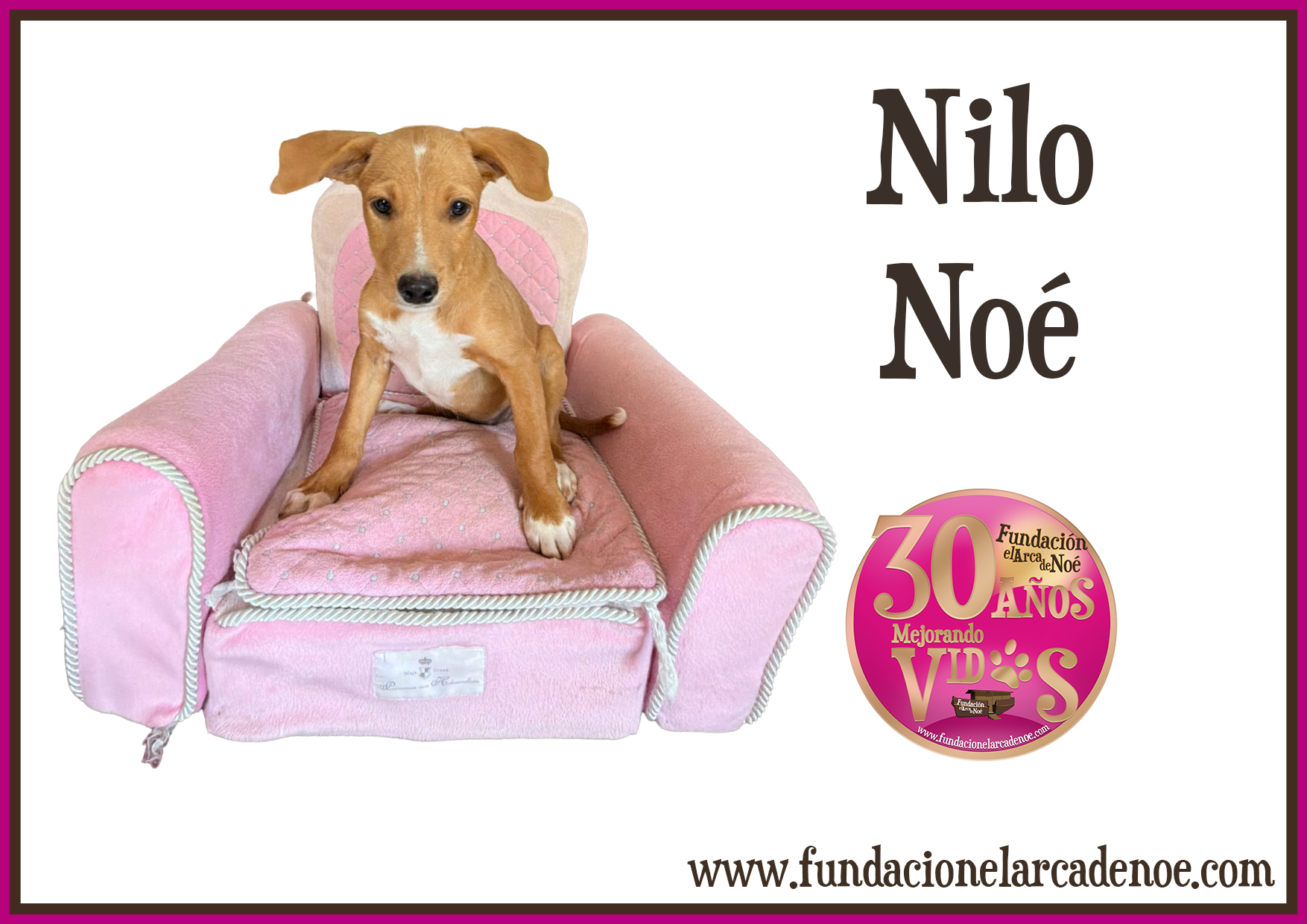 Nilo Noé