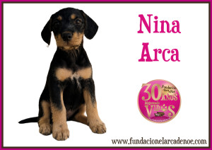 Nina Arca