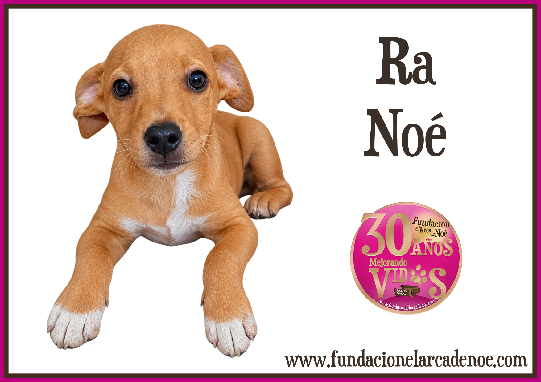 Ra Noé