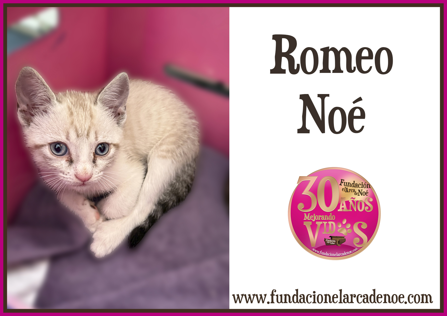 Romeo Noé