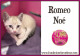 Romeo Noé