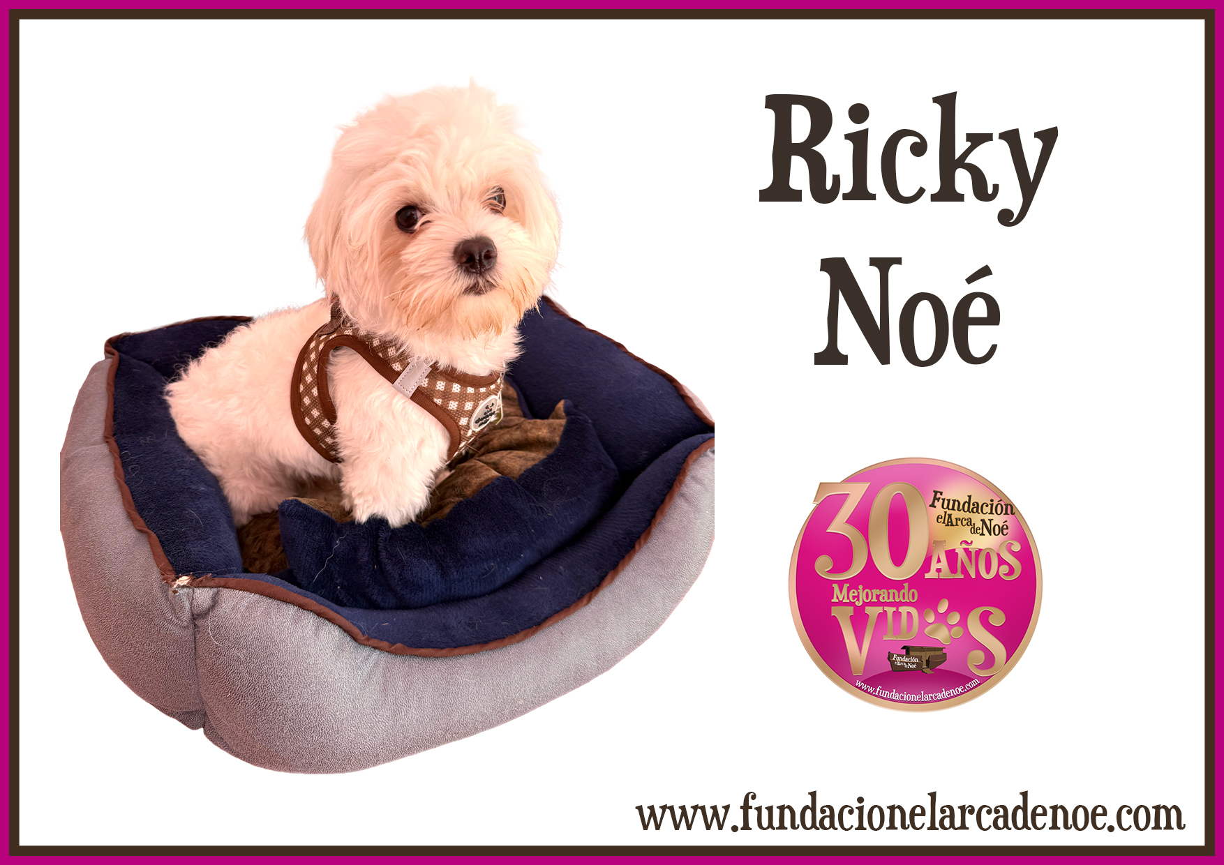 Ricky Noé
