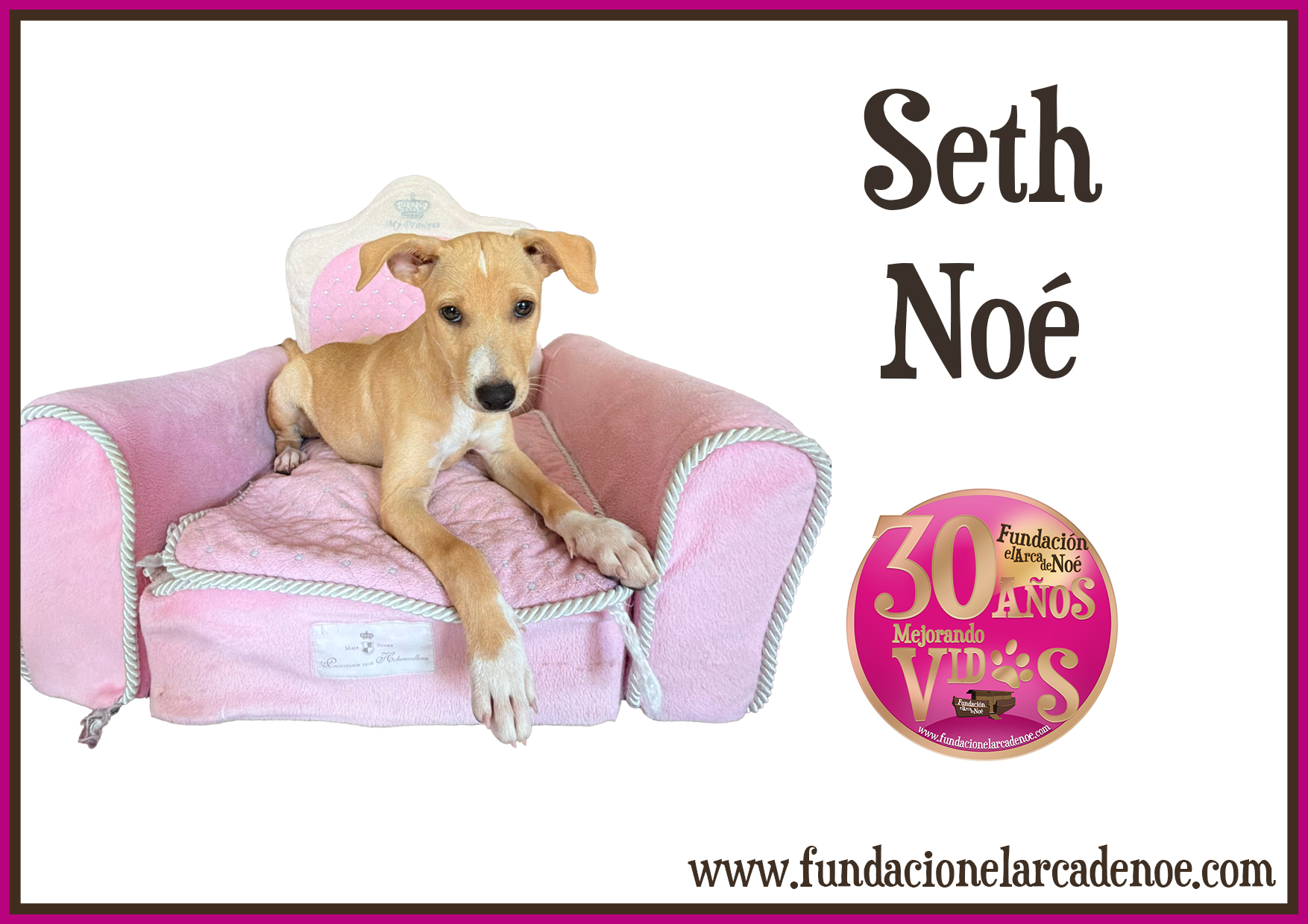 Seth Noé