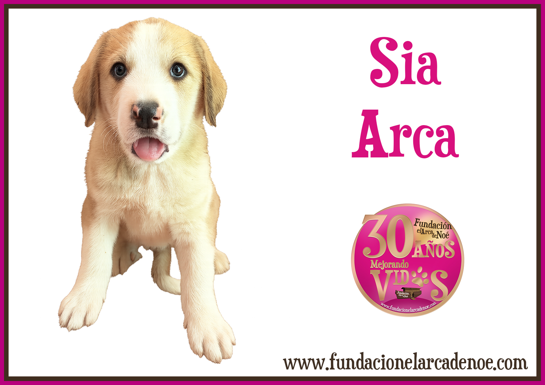 Sia Arca