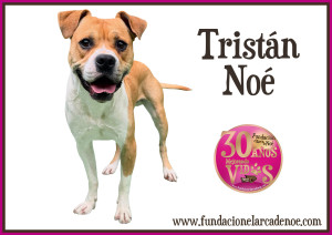 Tristán Noé