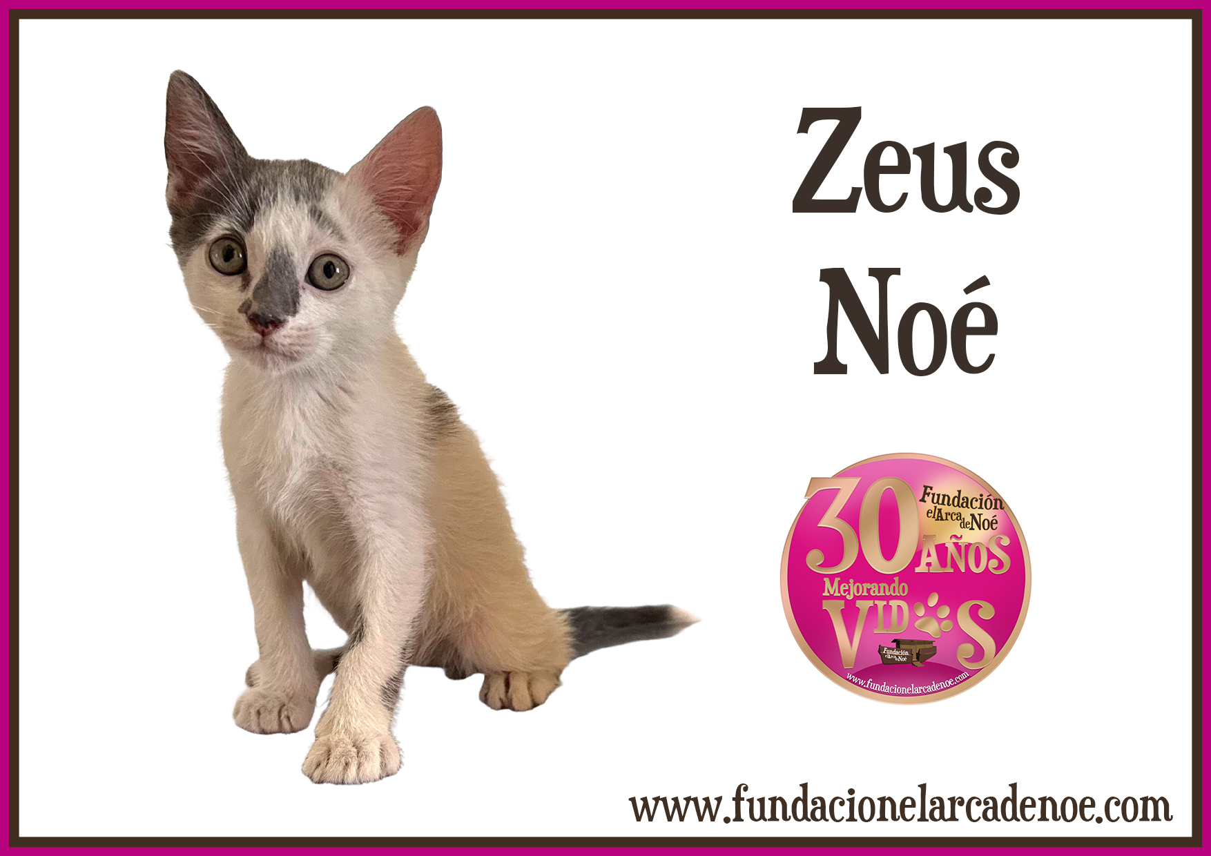 Zeus Noé