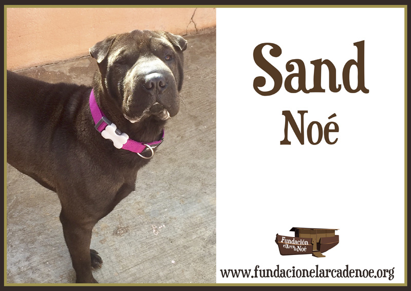 Sand Noe